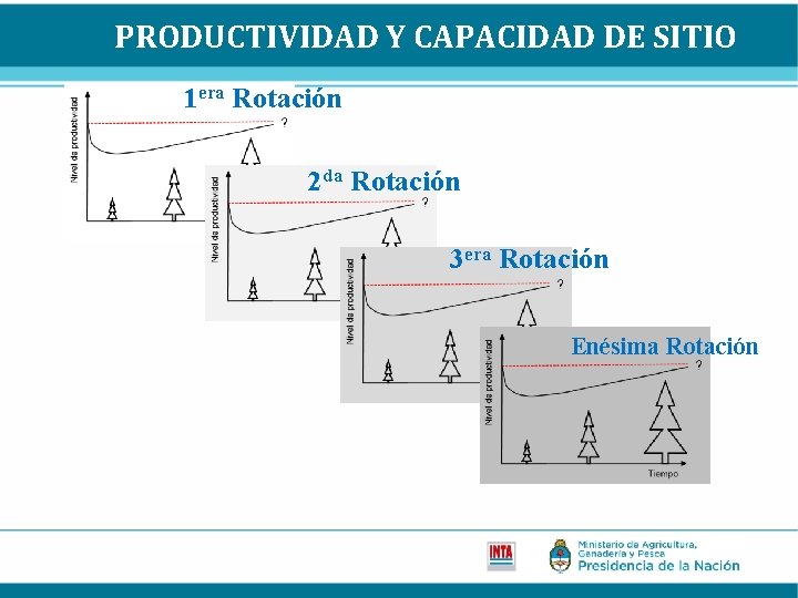 PRODUCTIVIDAD Y CAPACIDAD DE SITIO 1 era Rotación 2 da Rotación 3 era Rotación