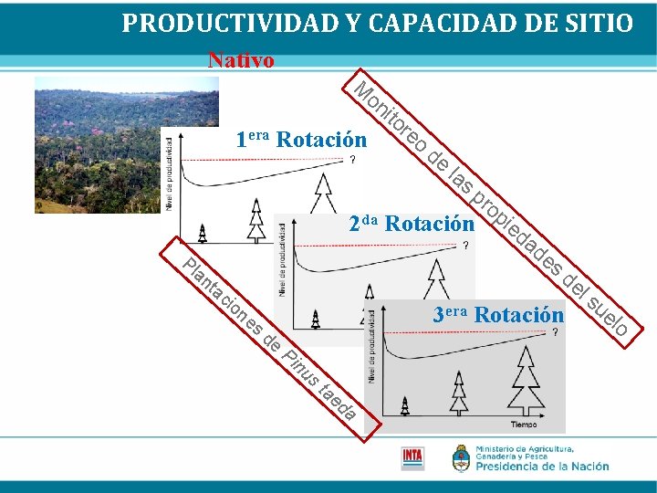PRODUCTIVIDAD Y CAPACIDAD DE SITIO Nativo M on i 1 era Rotación to re