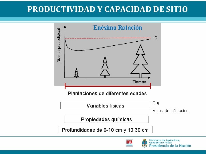 PRODUCTIVIDAD Y CAPACIDAD DE SITIO Enésima Rotación Plantaciones de diferentes edades Variables físicas Propiedades