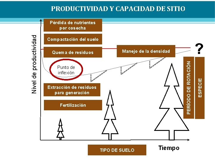 PRODUCTIVIDAD Y CAPACIDAD DE SITIO Compactación del suelo ? Manejo de la densidad Punto