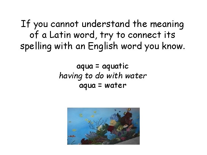 If you cannot understand the meaning of a Latin word, try to connect its