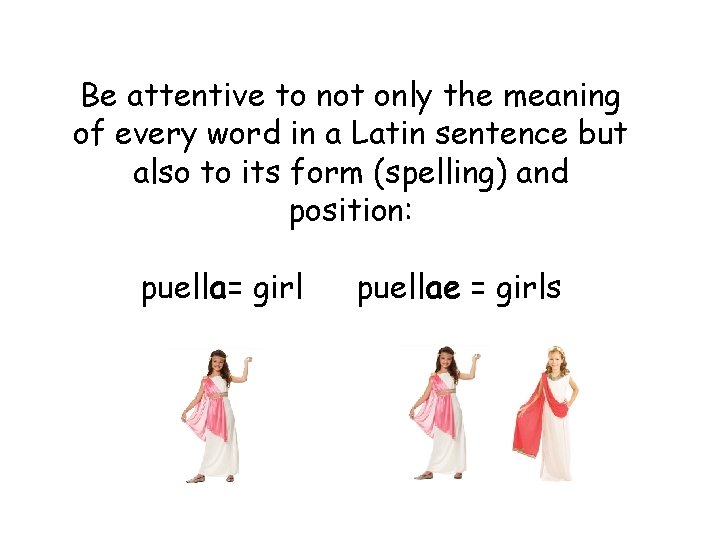 Be attentive to not only the meaning of every word in a Latin sentence