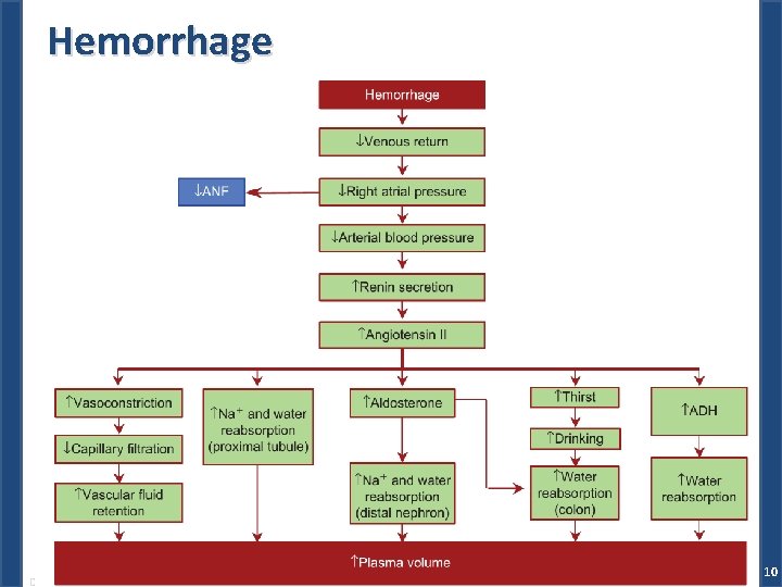 Hemorrhage Dr. M. Alzaharna (2018) 10 