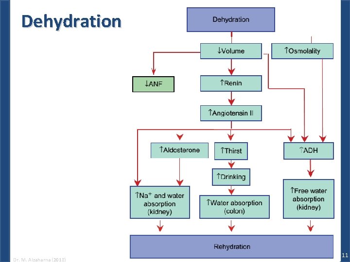 Dehydration Dr. M. Alzaharna (2018) 11 