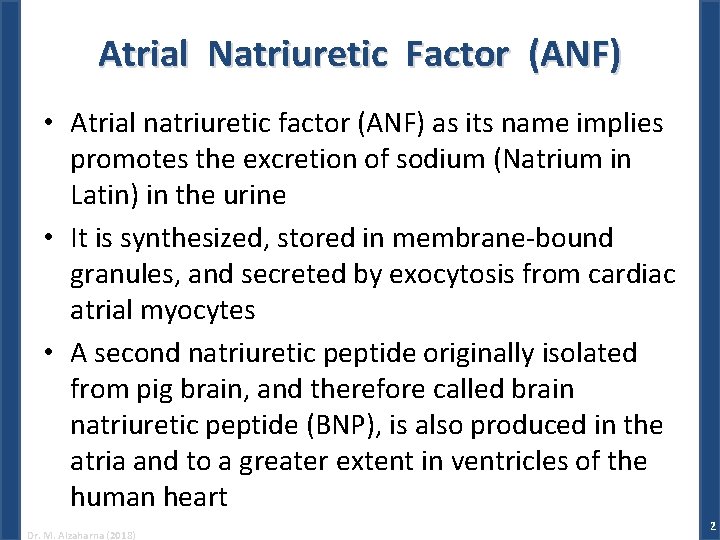 Atrial Natriuretic Factor (ANF) • Atrial natriuretic factor (ANF) as its name implies promotes