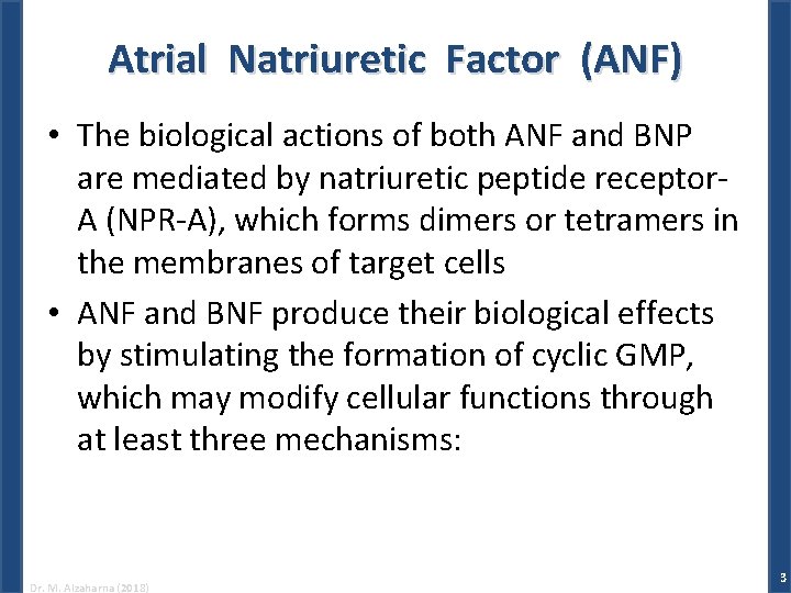 Atrial Natriuretic Factor (ANF) • The biological actions of both ANF and BNP are
