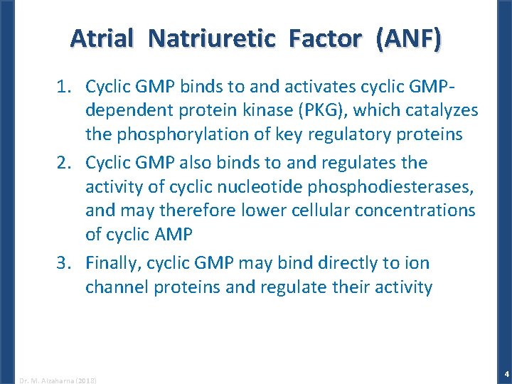 Atrial Natriuretic Factor (ANF) 1. Cyclic GMP binds to and activates cyclic GMPdependent protein