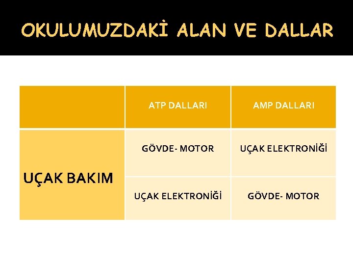 OKULUMUZDAKİ ALAN VE DALLAR ATP DALLARI AMP DALLARI GÖVDE- MOTOR UÇAK ELEKTRONİĞİ GÖVDE- MOTOR