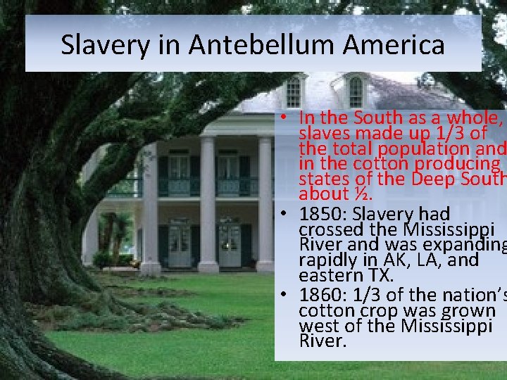 Slavery in Antebellum America • In the South as a whole, slaves made up