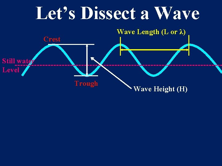 Let’s Dissect a Wave Length (L or λ) Crest Still water Level Trough Wave