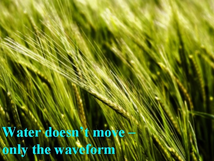 Water doesn’t move – only the waveform 