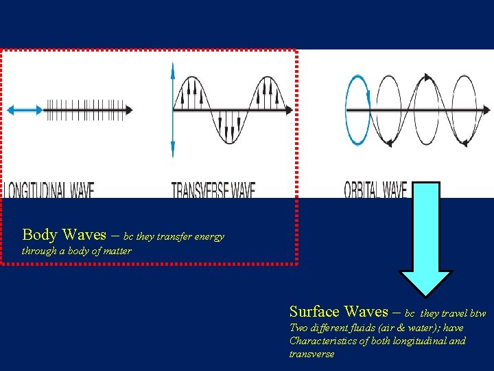 Body Waves – bc they transfer energy through a body of matter Surface Waves