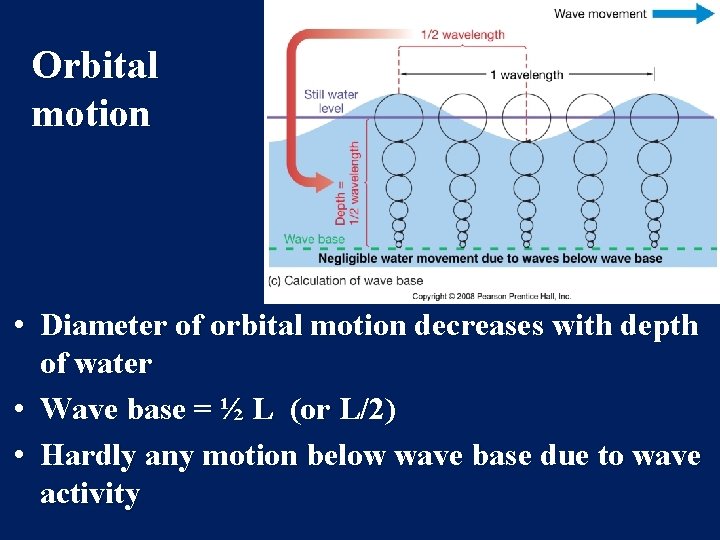 Orbital motion • Diameter of orbital motion decreases with depth of water • Wave