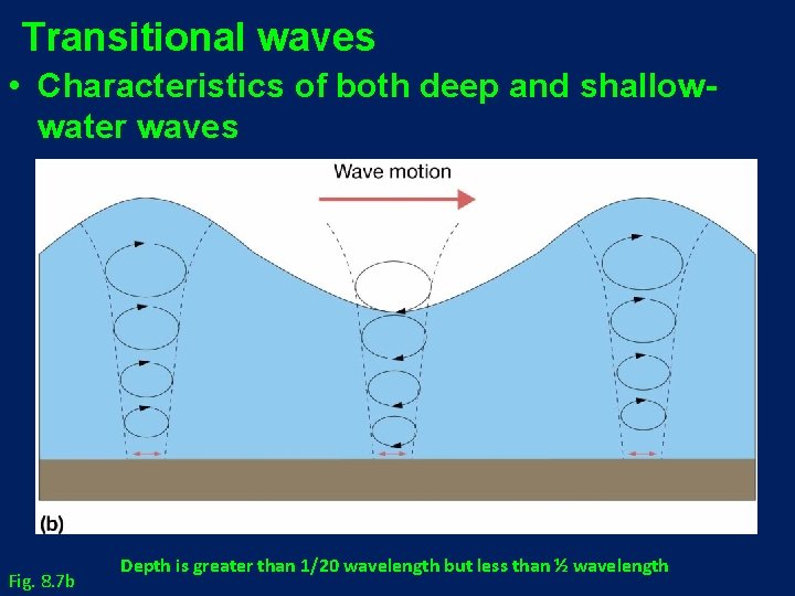 Transitional waves • Characteristics of both deep and shallowwater waves Fig. 8. 7 b