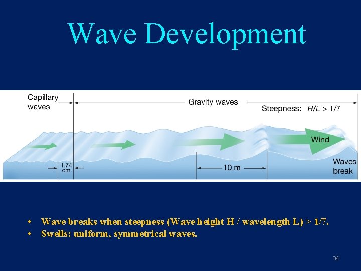 Wave Development • Wave breaks when steepness (Wave height H / wavelength L) >