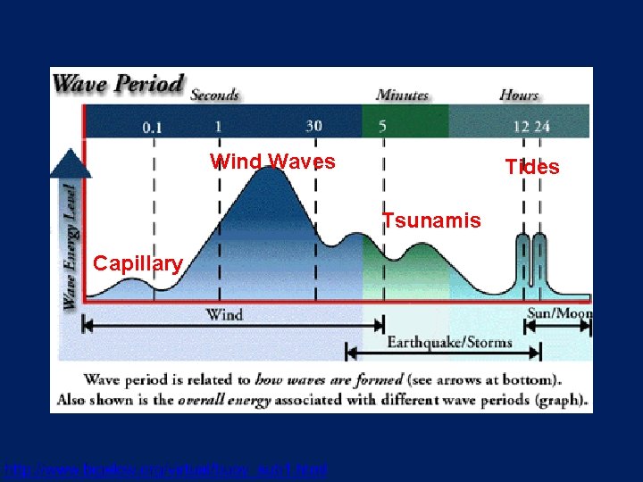 Wind Waves Tides Tsunamis Capillary 