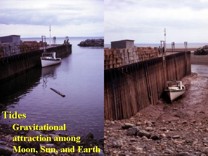 Tides Gravitational attraction among Moon, Sun, and Earth 