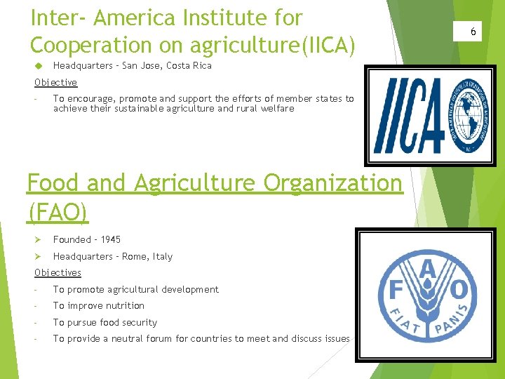 Inter- America Institute for Cooperation on agriculture(IICA) Headquarters – San Jose, Costa Rica Objective