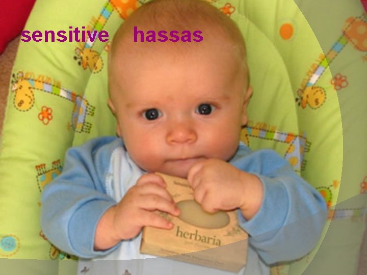 sensitive hassas 