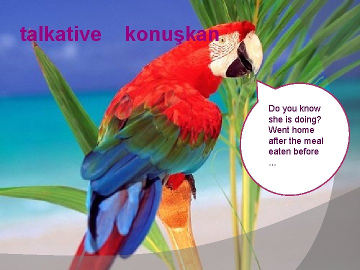 talkative konuşkan Do you know she is doing? Went home after the meal eaten