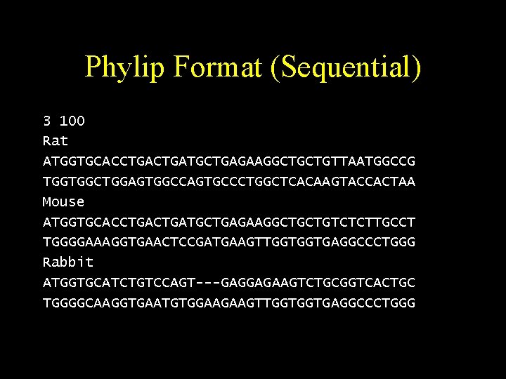 Phylip Format (Sequential) 3 100 Rat ATGGTGCACCTGATGCTGAGAAGGCTGCTGTTAATGGCCG TGGTGGCTGGAGTGGCCAGTGCCCTGGCTCACAAGTACCACTAA Mouse ATGGTGCACCTGATGCTGAGAAGGCTGCTGTCTCTTGCCT TGGGGAAAGGTGAACTCCGATGAAGTTGGTGGTGAGGCCCTGGG Rabbit ATGGTGCATCTGTCCAGT---GAGGAGAAGTCTGCGGTCACTGC TGGGGCAAGGTGAATGTGGAAGAAGTTGGTGGTGAGGCCCTGGG