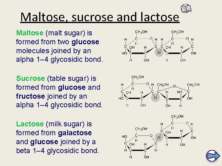 Maltose, sucrose and lactose Maltose (malt sugar) is formed from two glucose molecules joined