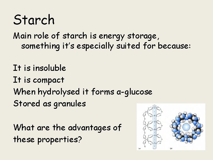 Starch Main role of starch is energy storage, something it’s especially suited for because: