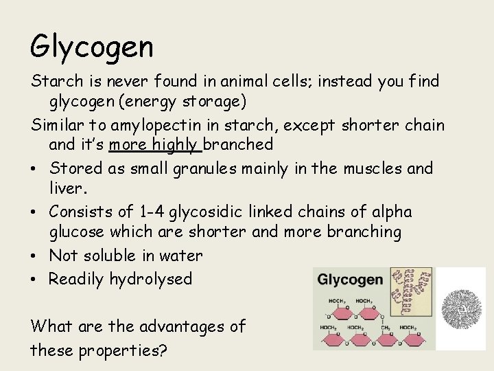 Glycogen Starch is never found in animal cells; instead you find glycogen (energy storage)