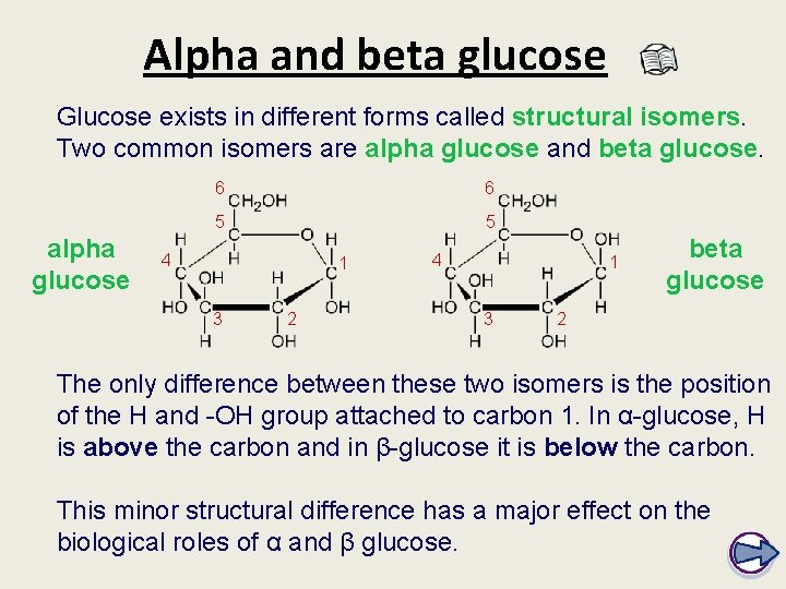 Alpha and beta glucose Glucose exists in different forms called structural isomers. Two common