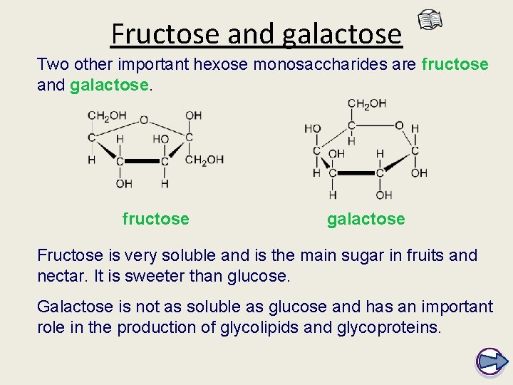 Fructose and galactose Two other important hexose monosaccharides are fructose and galactose. fructose galactose