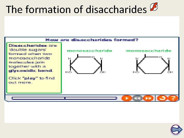 The formation of disaccharides 