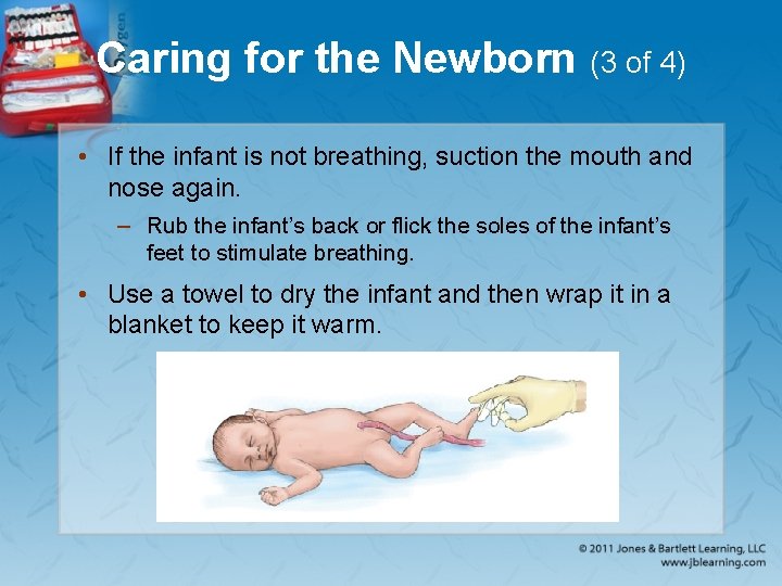 Caring for the Newborn (3 of 4) • If the infant is not breathing,