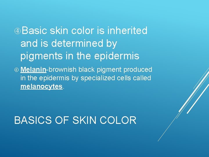  Basic skin color is inherited and is determined by pigments in the epidermis