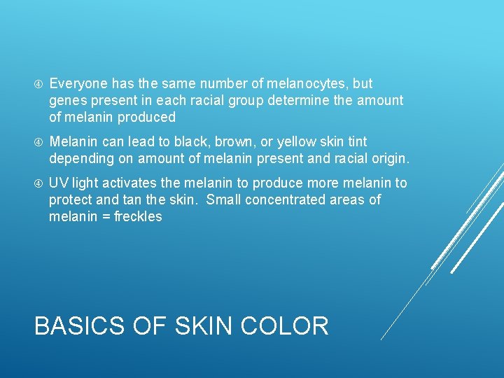  Everyone has the same number of melanocytes, but genes present in each racial