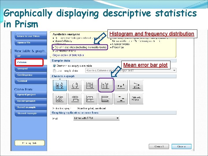 Graphically displaying descriptive statistics in Prism Histogram and frequency distribution Mean error bar plot