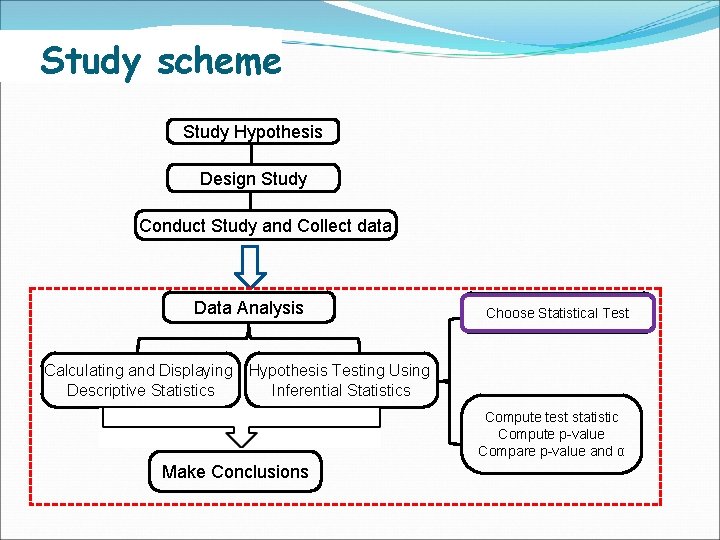 Study scheme Study Hypothesis Design Study Conduct Study and Collect data Data Analysis Choose