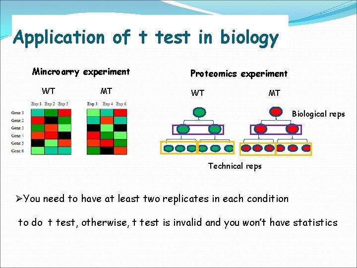 Application of t test in biology Mincroarry experiment WT MT Proteomics experiment WT MT