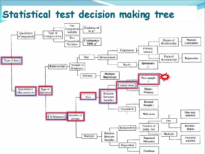 Statistical test decision making tree 