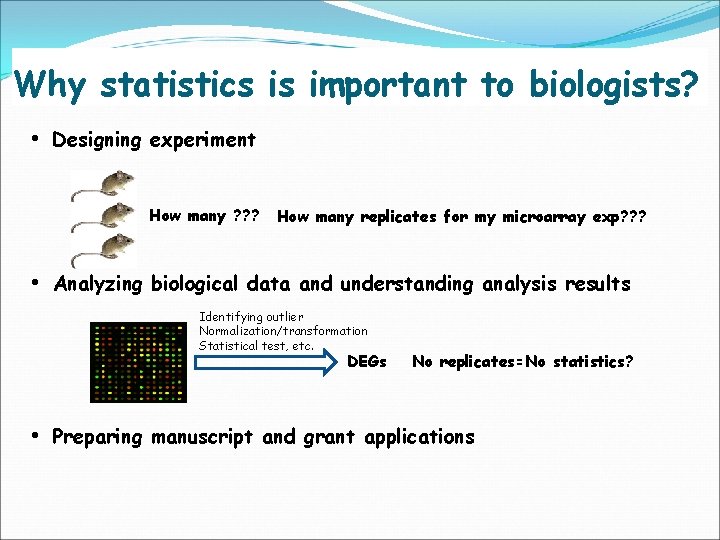Why statistics is important to biologists? • Designing experiment How many ? ? ?