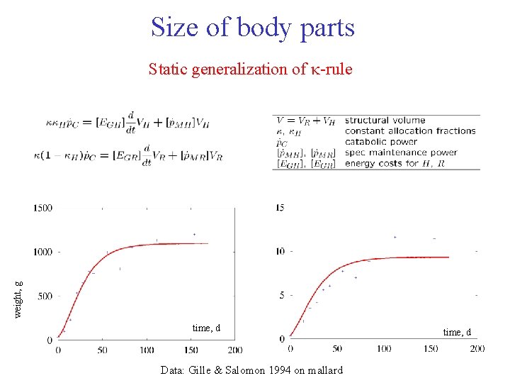 Size of body parts Static generalization of -rule heart weight, g whole body time,