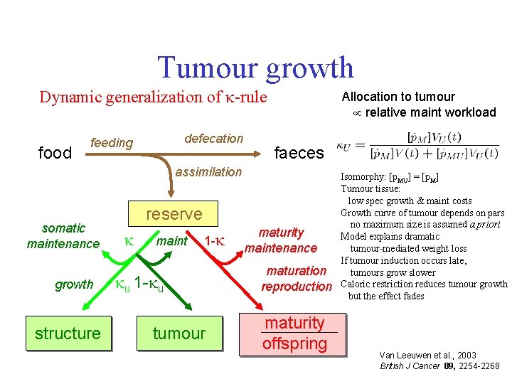 Tumour growth Dynamic generalization of -rule food defecation feeding Allocation to tumour relative maint