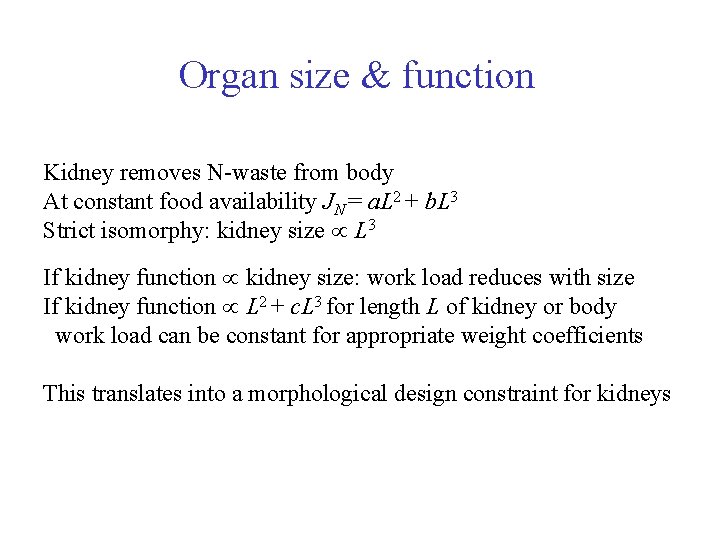 Organ size & function Kidney removes N-waste from body At constant food availability JN