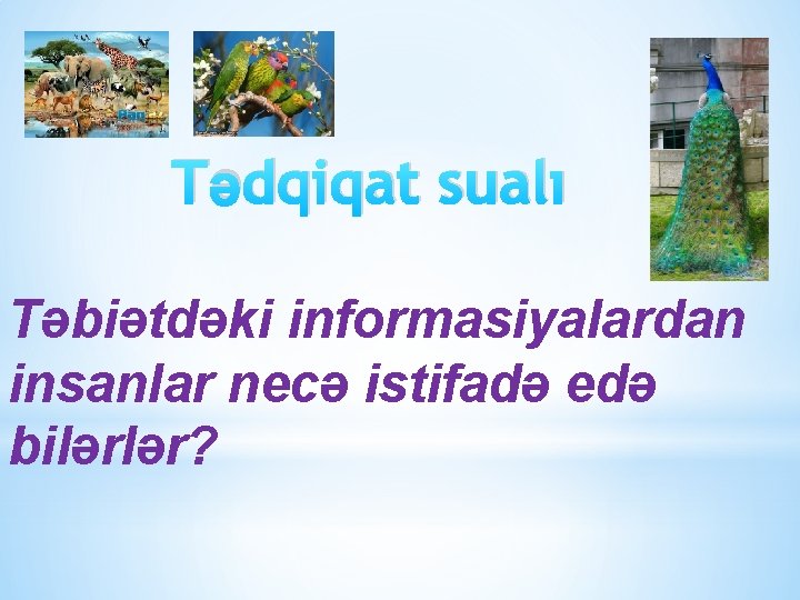 Tədqiqat sualı Təbiətdəki informasiyalardan insanlar necə istifadə edə bilərlər? 