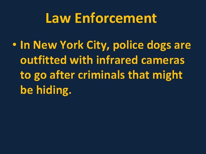 Law Enforcement • In New York City, police dogs are outfitted with infrared cameras