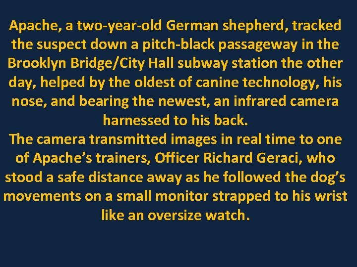 Apache, a two-year-old German shepherd, tracked the suspect down a pitch-black passageway in the