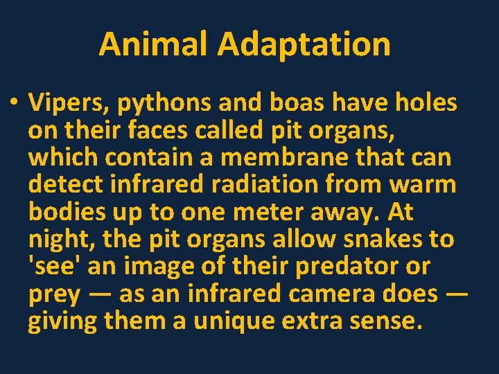 Animal Adaptation • Vipers, pythons and boas have holes on their faces called pit