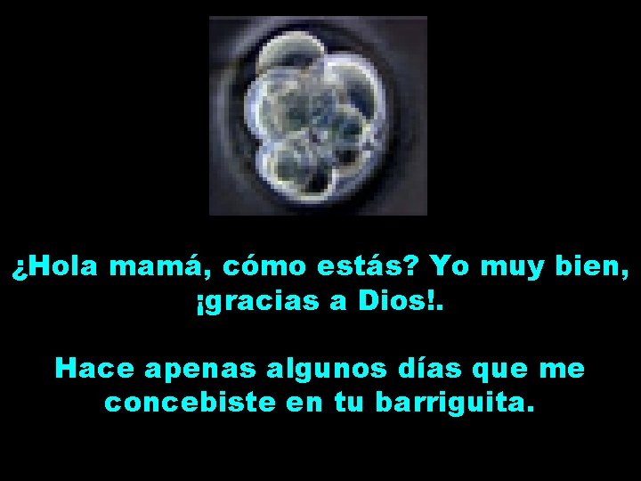 ¿Hola mamá, cómo estás? Yo muy bien, ¡gracias a Dios!. Hace apenas algunos días