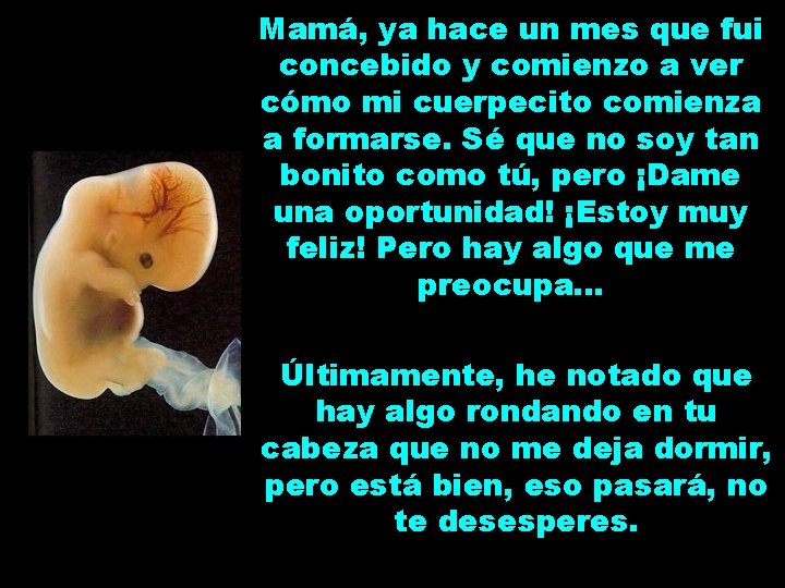 Mamá, ya hace un mes que fui concebido y comienzo a ver cómo mi