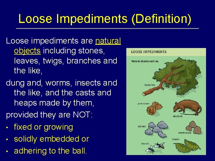 Loose Impediments (Definition) Loose impediments are natural objects including stones, leaves, twigs, branches and