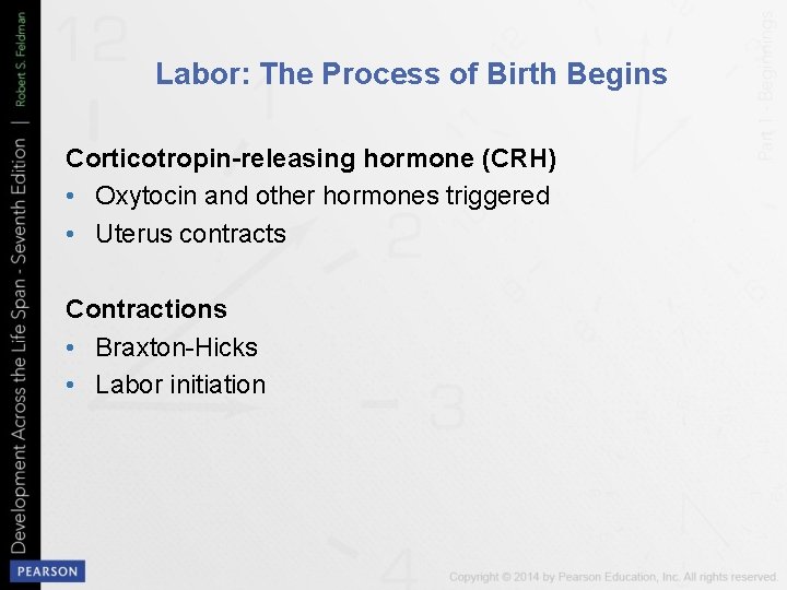 Labor: The Process of Birth Begins Corticotropin-releasing hormone (CRH) • Oxytocin and other hormones